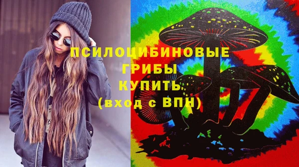 молекула духа Балахна