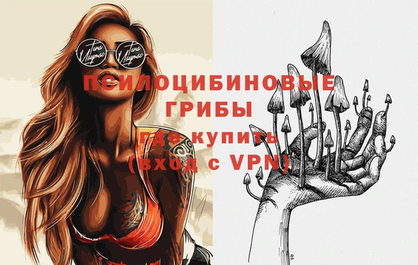 apvp Балабаново