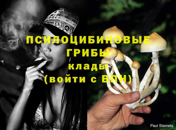 молекула духа Балахна