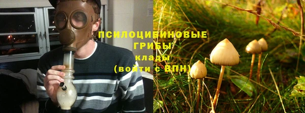 apvp Балабаново