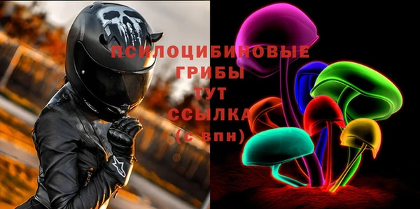 молекула духа Балахна