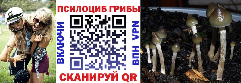купить наркоту Горбатов Галлюциногенные грибы GOLDEN TEACHER